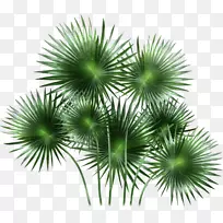 �����-������