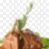 博客png图片网站图像计算机图标-空若网 博客png图片网站图像计算机图标-空若网