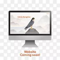 展示广告品牌多媒体-空若网 展示广告品牌多媒体-空若网