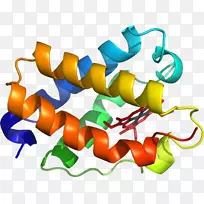 ��������ͼ���л����ɫS.A��-������