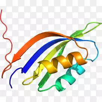 剪贴画线有机体橙色S.A.-枯草杆菌-空若网 剪贴画线有机体橙色S.A.-枯草杆菌-空若网