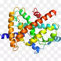 ���������л����鱦-������