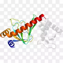 剪贴画蔬菜有机体系列-蔬菜-空若网 剪贴画蔬菜有机体系列-蔬菜-空若网