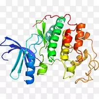 剪贴画蔬菜产品有机体系列-蔬菜-空若网 剪贴画蔬菜产品有机体系列-蔬菜-空若网