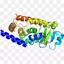 剪贴画有机体产品人体珠宝-空若网 剪贴画有机体产品人体珠宝-空若网