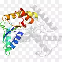 剪贴画有机体线橙色S.A.特殊奥运区m-空若网 剪贴画有机体线橙色S.A.特殊奥运区m-空若网