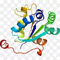 剪贴画产品设计线有机体-空若网 剪贴画产品设计线有机体-空若网