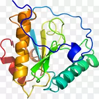 剪贴画线产品点有机体线-空若网 剪贴画线产品点有机体线-空若网