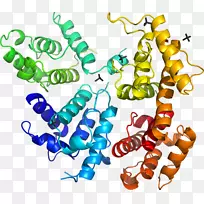 �������л�����������-������