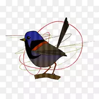 ���������ë-������