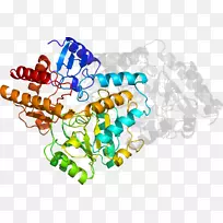 剪贴画有机体线身首饰-Hoya-空若网 剪贴画有机体线身首饰-Hoya-空若网