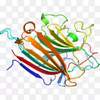 剪贴画蔬菜植物线特殊奥运区m-蔬菜-空若网 剪贴画蔬菜植物线特殊奥运区m-蔬菜-空若网