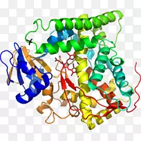 剪贴画有机体线身首饰-空若网 剪贴画有机体线身首饰-空若网