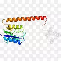 剪贴画线点产品有机体线-空若网 剪贴画线点产品有机体线-空若网