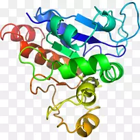 剪贴画有机体线身首饰-空若网 剪贴画有机体线身首饰-空若网