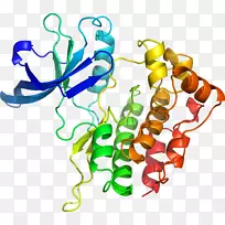 �������л����߶���-������