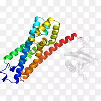 ������ϵ�в�Ʒ��������.fyve Rhogef��ph��-������