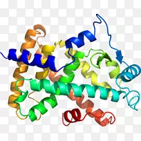 �������������ѧ���Ӽ�����-������