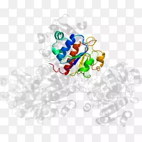 剪贴画线身珠宝人体-空若网 剪贴画线身珠宝人体-空若网