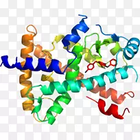 剪贴画有机体线动物-空若网 剪贴画有机体线动物-空若网