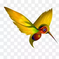 蜂鸟喙羽昆虫-空若网 蜂鸟喙羽昆虫-空若网
