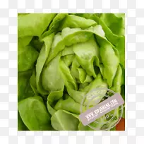 �߲�ɫ���߲�-������