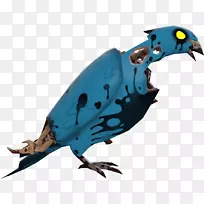 喙动物羽毛-空若网 喙动物羽毛-空若网