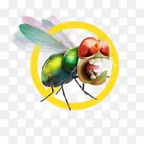 蚊子酒店飞鸟餐厅-空若网 蚊子酒店飞鸟餐厅-空若网