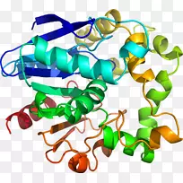 剪贴画线有机体产品人体珠宝-空若网 剪贴画线有机体产品人体珠宝-空若网