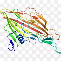 剪贴画线点产品有机体短乳杆菌-空若网 剪贴画线点产品有机体短乳杆菌-空若网