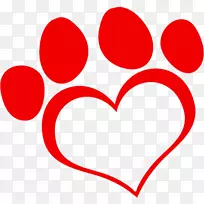 猫爪版税.免费摄影图.CAT-空若网 猫爪版税.免费摄影图.CAT-空若网