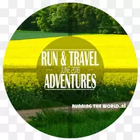 Æ·ÅÆ-¿ÕÈôÍø Æ·ÅÆ-¿ÕÈôÍø