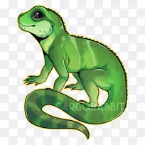 水龙变色龙普通蜥蜴爬行动物蜥蜴-空若网 水龙变色龙普通蜥蜴爬行动物蜥蜴-空若网