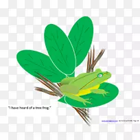 叶虫产品设计-叶-空若网 叶虫产品设计-叶-空若网