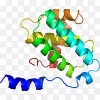 �������߲�Ʒ���л�����-������