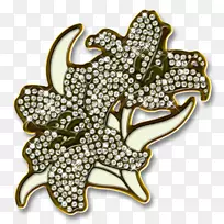 Adobe Photoshop图片框图片PSD图像-空若网 Adobe Photoshop图片框图片PSD图像-空若网