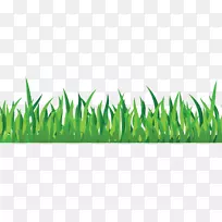 ¼ôÌù»-Çà²ÝPNGͼƬ-¿ÕÈôÍø ¼ôÌù»-Çà²ÝPNGͼƬ-¿ÕÈôÍø