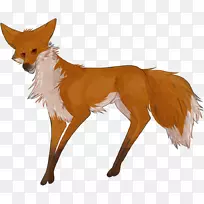 马狐,鹿毛,狐狸,新闻鼻子-空若网 马狐,鹿毛,狐狸,新闻鼻子-空若网