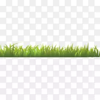 草本植物光景-草PNG图像,绿草PNG图片-空若网 草本植物光景-草PNG图像,绿草PNG图片-空若网