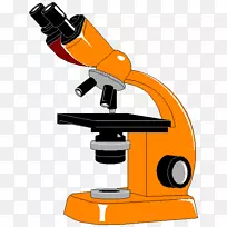 ��ѧ��΢����ѧ������ʵ����.mikroskopbild-������