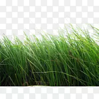 ������-���PNGͼƬ-������