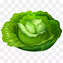 ���������Ĳ˾��ײ��߲�-���Ĳ�-������