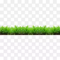 草坪工业壁纸-草PNG图像,绿草PNG图片-空若网 草坪工业壁纸-草PNG图像,绿草PNG图片-空若网