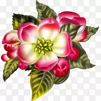 花束设计-空若网 花束设计-空若网