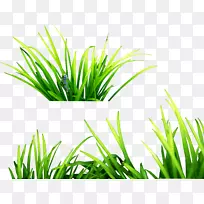 ��ݼ�����-��PNGͼ���̲�PNGͼƬ-������