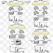 癌症定量蛋白质组学的计算系统生物学-空若网 癌症定量蛋白质组学的计算系统生物学-空若网