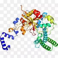 剪贴画有机体线身首饰-空若网 剪贴画有机体线身首饰-空若网