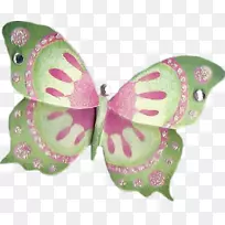 蝴蝶中心博客可移植网络图形图像-蝴蝶-空若网 蝴蝶中心博客可移植网络图形图像-蝴蝶-空若网