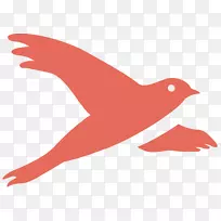 喙夹艺术动物线红-空若网 喙夹艺术动物线红-空若网