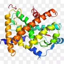 ��������.��������ø����ֳ�Ｄ�������-������